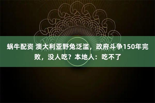 蜗牛配资 澳大利亚野兔泛滥，政府斗争150年完败，没人吃？本地人：吃不了