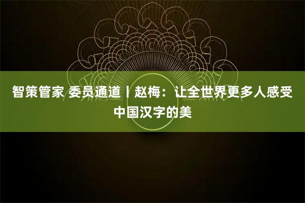 智策管家 委员通道丨赵梅：让全世界更多人感受中国汉字的美