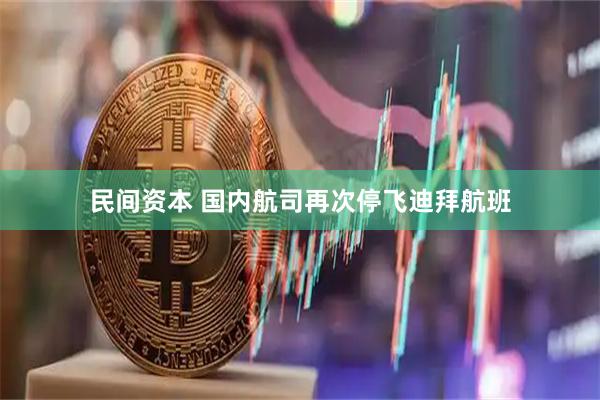 民间资本 国内航司再次停飞迪拜航班