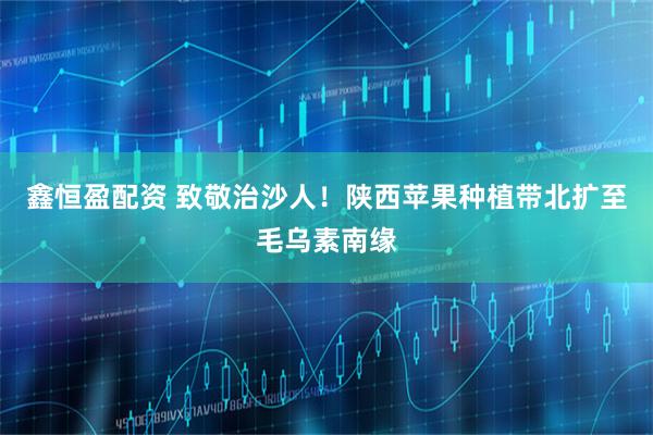 鑫恒盈配资 致敬治沙人！陕西苹果种植带北扩至毛乌素南缘