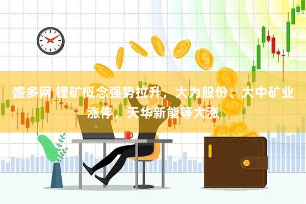盛多网 锂矿概念强势拉升，大为股份、大中矿业涨停，天华新能等大涨
