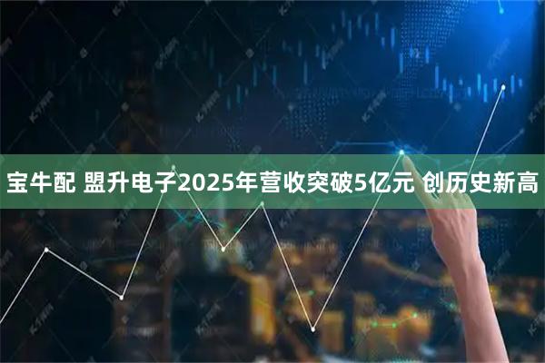 宝牛配 盟升电子2025年营收突破5亿元 创历史新高