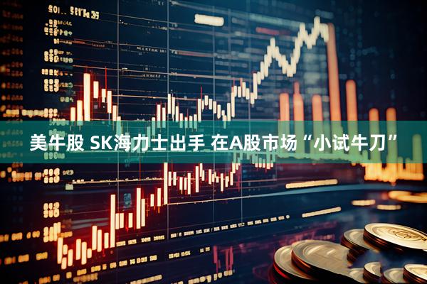 美牛股 SK海力士出手 在A股市场“小试牛刀”