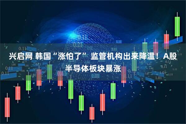 兴启网 韩国“涨怕了” 监管机构出来降温！A股半导体板块暴涨