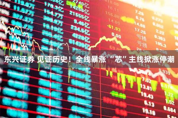 东兴证券 见证历史！全线暴涨 “芯”主线掀涨停潮