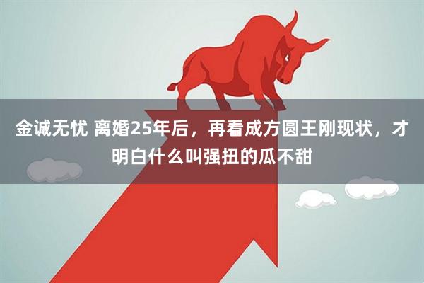 金诚无忧 离婚25年后，再看成方圆王刚现状，才明白什么叫强扭的瓜不甜