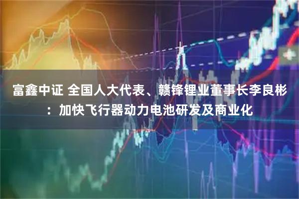 富鑫中证 全国人大代表、赣锋锂业董事长李良彬：加快飞行器动力电池研发及商业化
