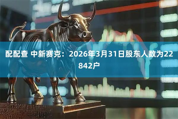 配配查 中新赛克：2026年3月31日股东人数为22842户