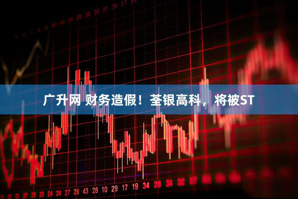 广升网 财务造假！荃银高科，将被ST