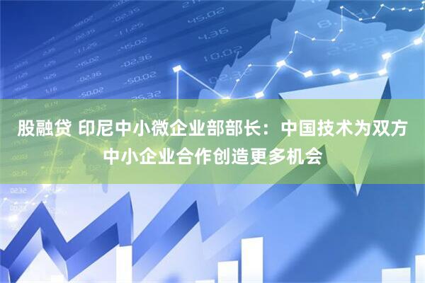 股融贷 印尼中小微企业部部长：中国技术为双方中小企业合作创造更多机会