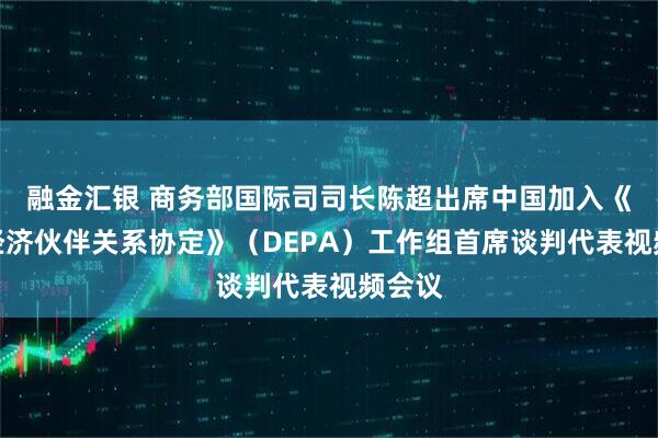 融金汇银 商务部国际司司长陈超出席中国加入《数字经济伙伴关系协定》（DEPA）工作组首席谈判代表视频会议
