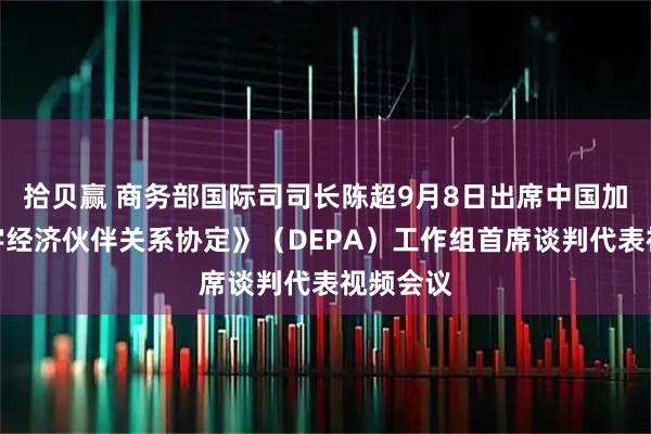 拾贝赢 商务部国际司司长陈超9月8日出席中国加入《数字经济伙伴关系协定》（DEPA）工作组首席谈判代表视频会议